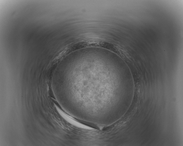 X0000081450916200701191710