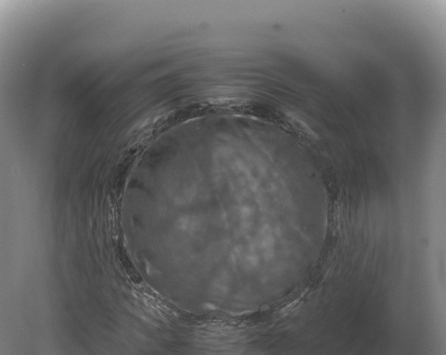 X0000081450917200701191710