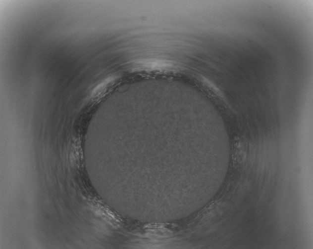 X0000081450918200701191710