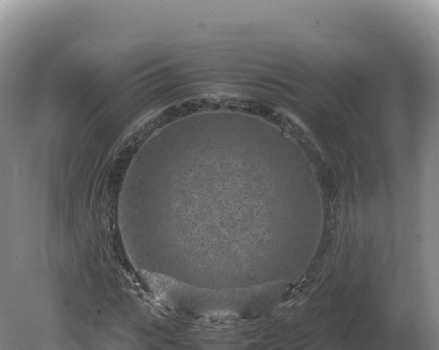 X0000081450919200701191710