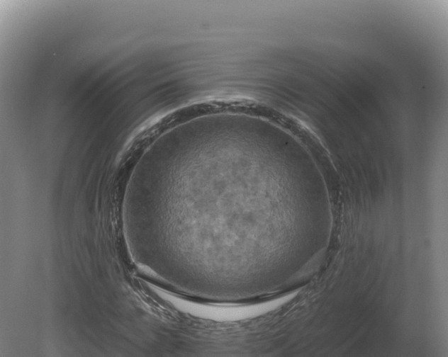 X0000081450920200701191710