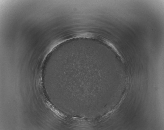 X0000081450923200701191710