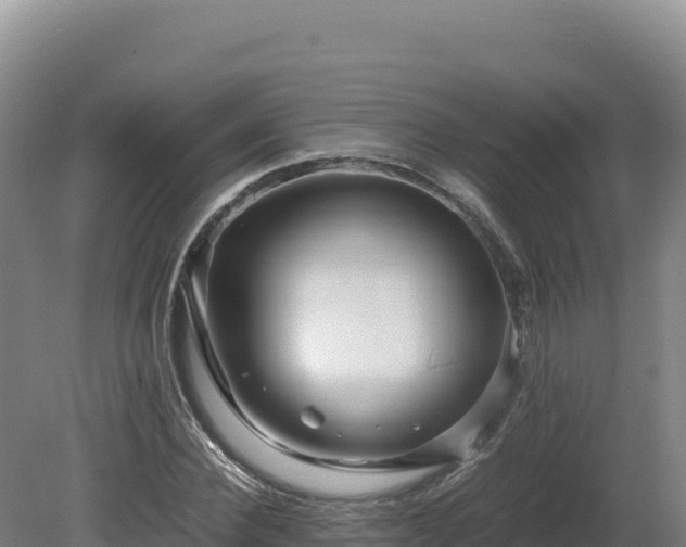 X0000081450924200701191710