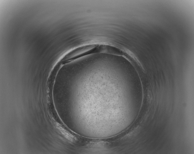 X0000081450926200701191710