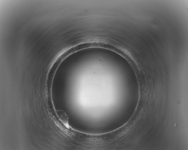 X0000081450927200701191710