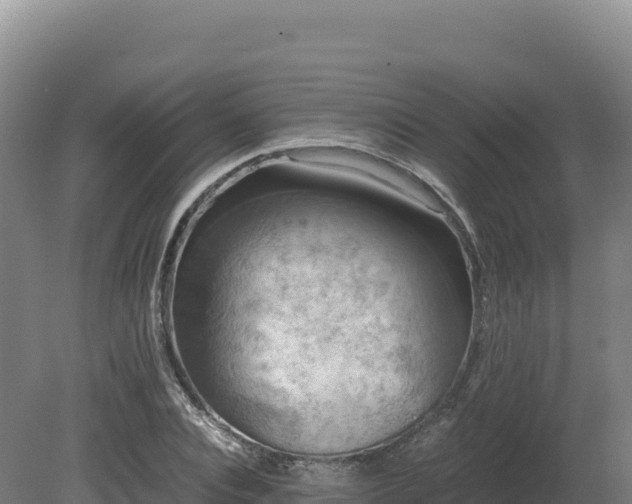 X0000081450928200701191710