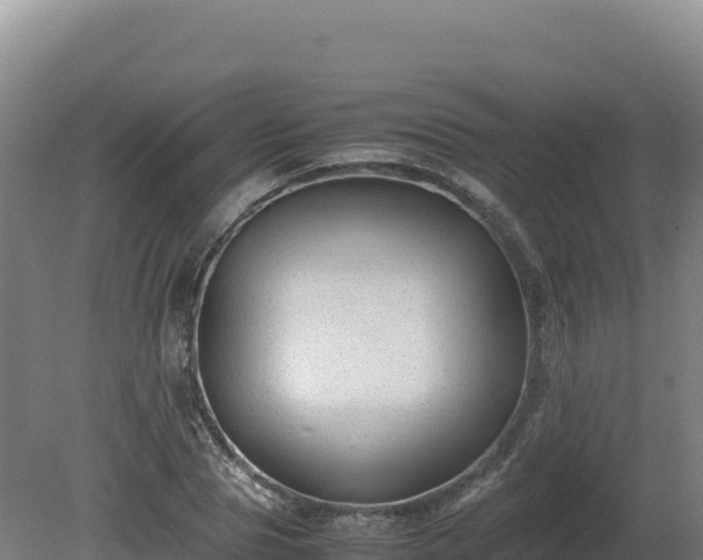 X0000081450929200701191710