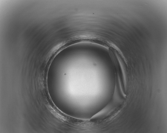 X0000081450930200701191710