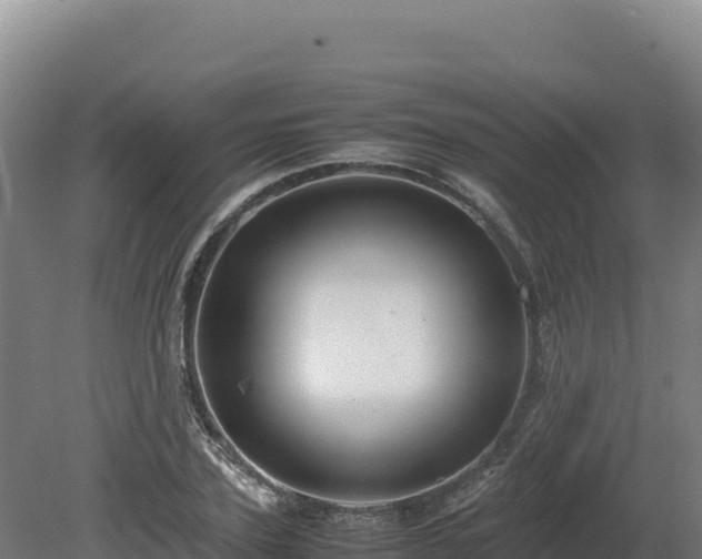 X0000081450931200701191710