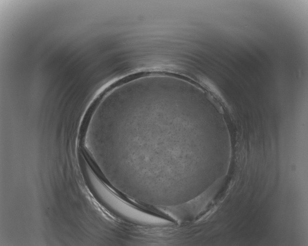 X0000081450932200701191710