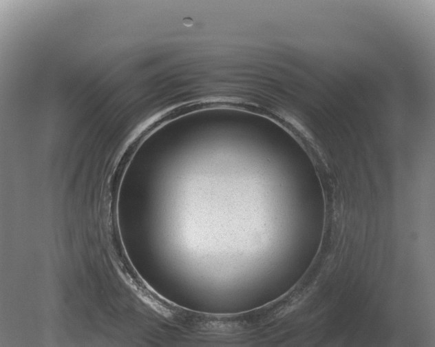 X0000081450933200701191710