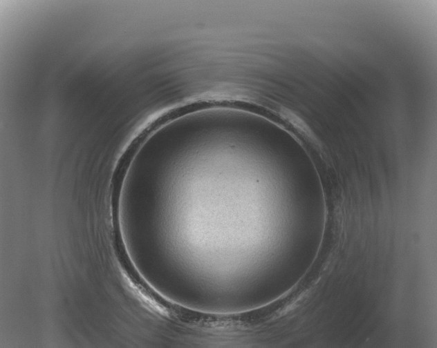 X0000081450934200701191710