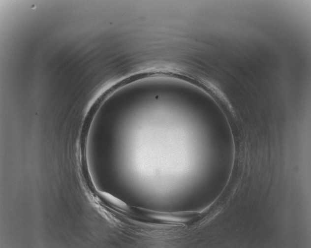 X0000081450936200701191710