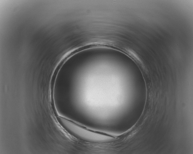 X0000081450940200701191710