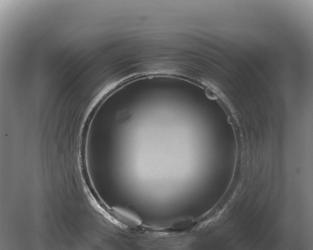 X0000081450941200701191710