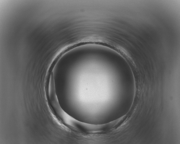 X0000081450942200701191710