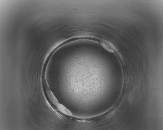 X0000081450943200701191710