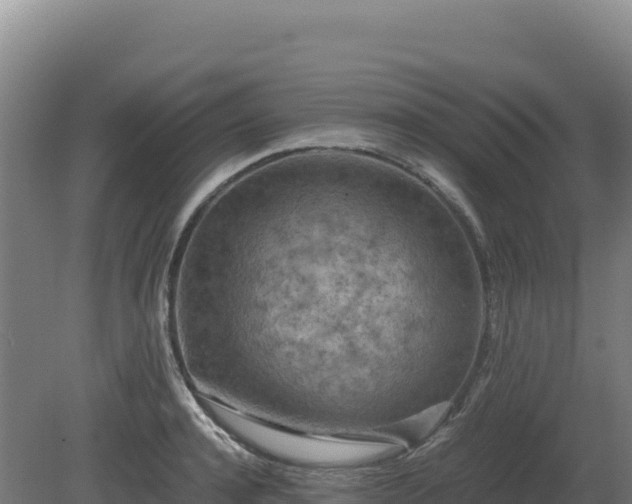 X0000081450944200701191710