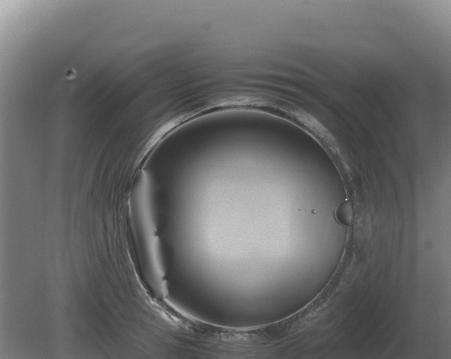 X0000081450945200701191710