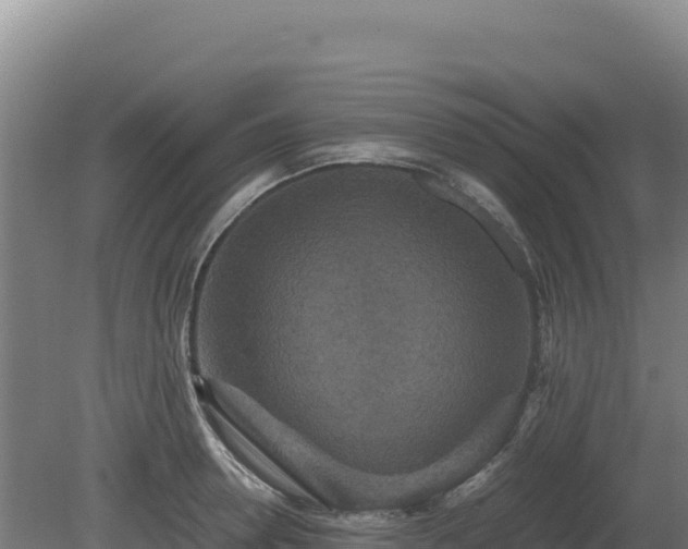 X0000081450946200701191710