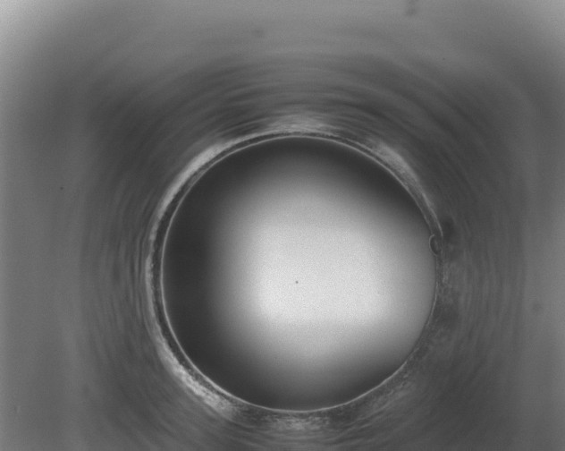 X0000081450947200701191710