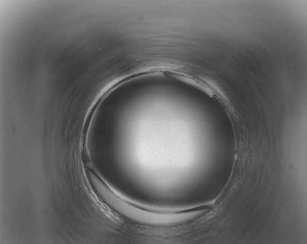 X0000081450948200701191710