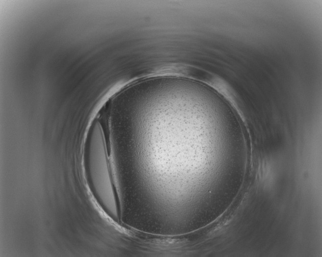 X0000081450949200701191710