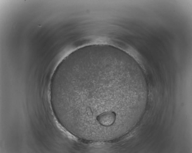 X0000081450950200701191710