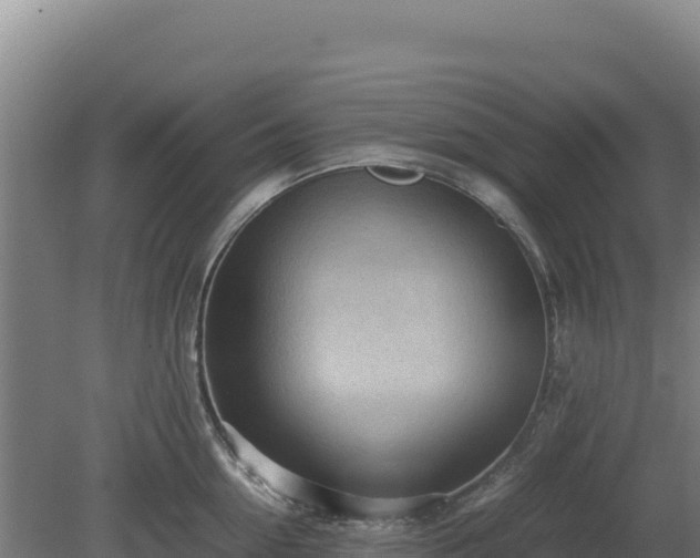 X0000081450954200701191710