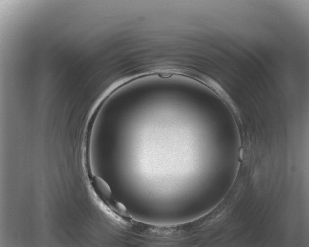 X0000081450955200701191710