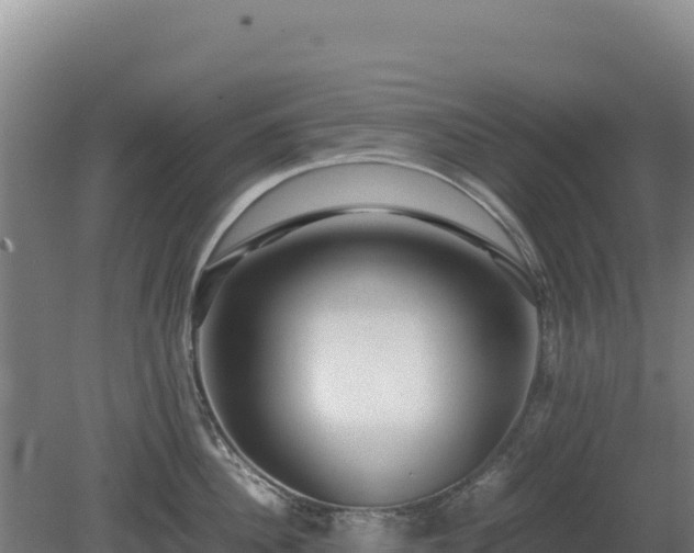 X0000081450956200701191710