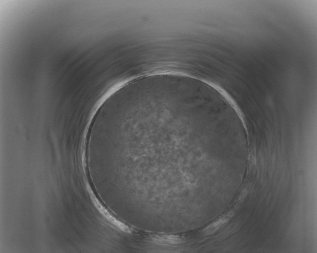 X0000081450957200701191710