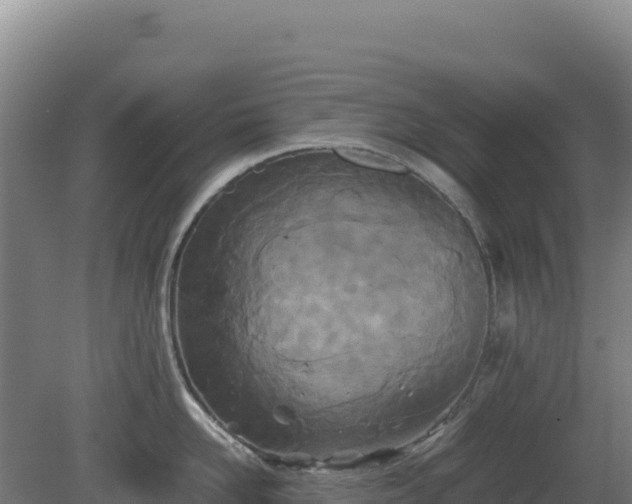 X0000081450958200701191710