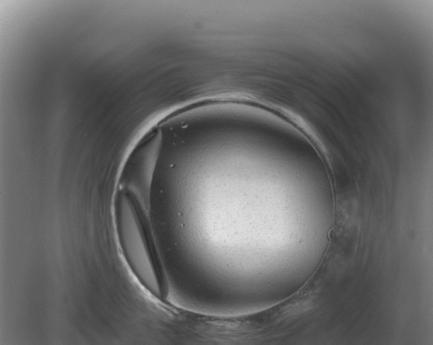 X0000081450959200701191710