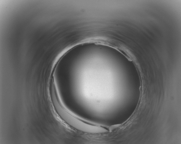 X0000081450960200701191710