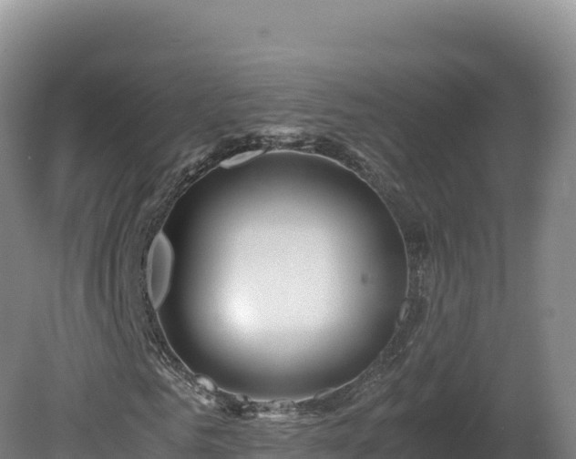 X0000081450961200701191710