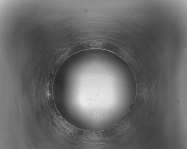 X0000081450962200701191710