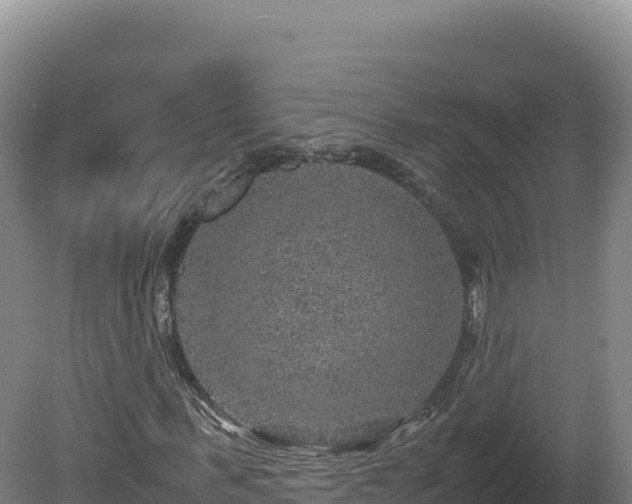 X0000081450963200701191710