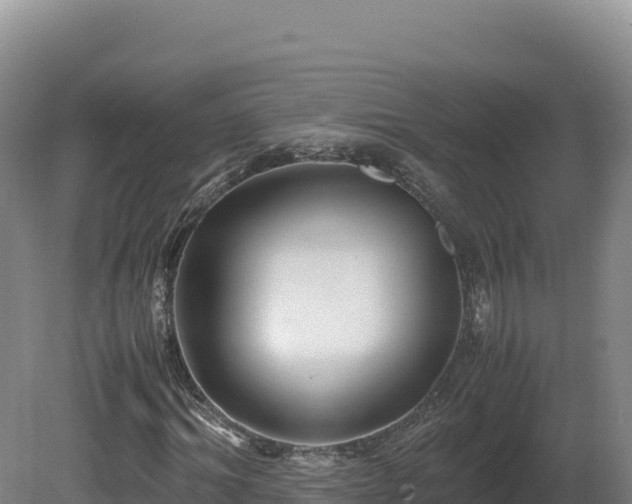 X0000081450964200701191709