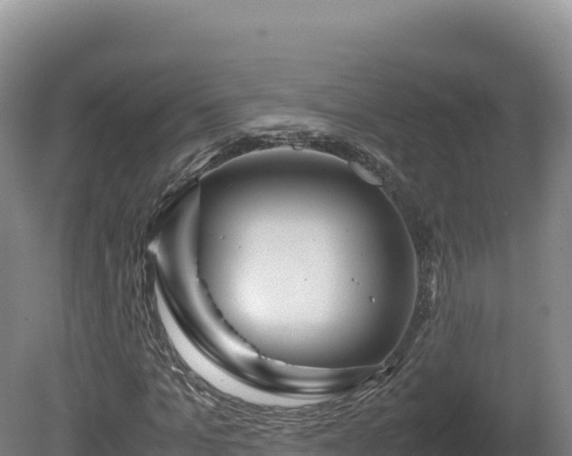 X0000081450965200701191709