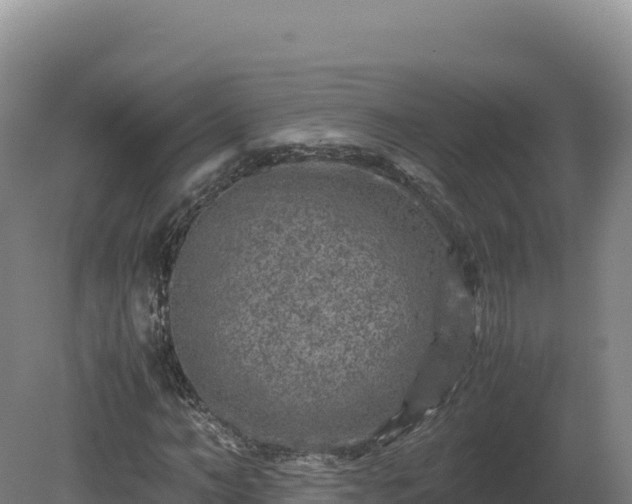 X0000081450966200701191709