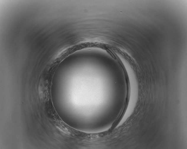 X0000081450968200701191709