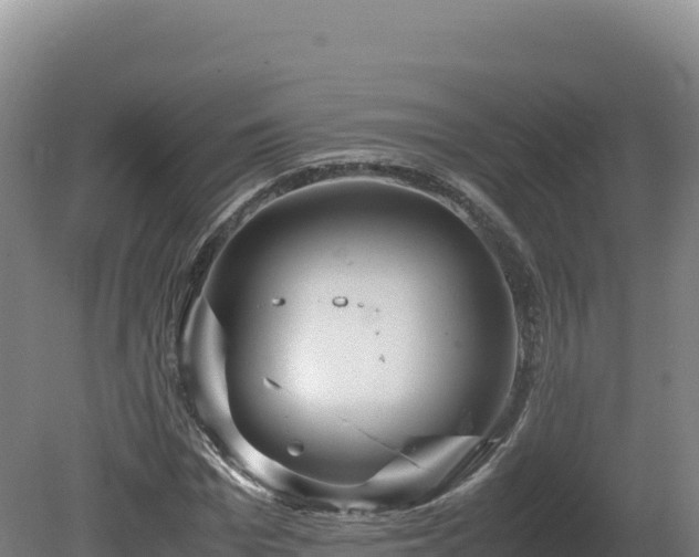 X0000081450969200701191709