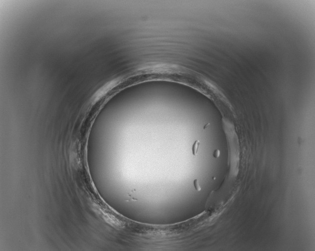 X0000081450970200701191709