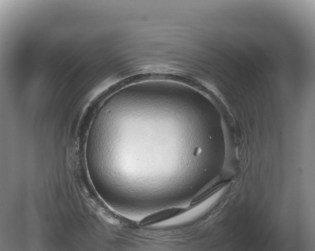 X0000081450971200701191709