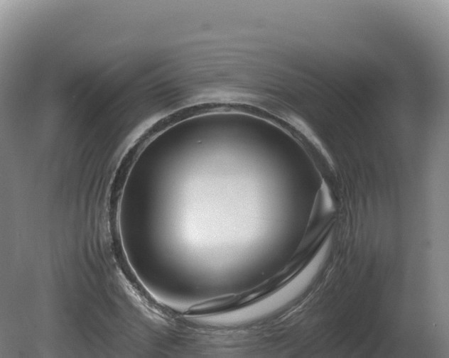 X0000081450972200701191709