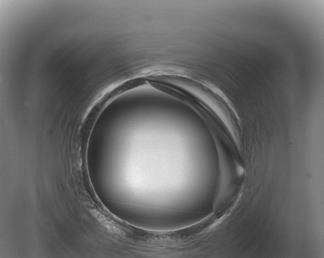 X0000081450973200701191709