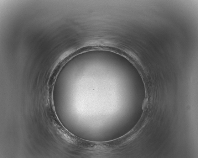 X0000081450974200701191709