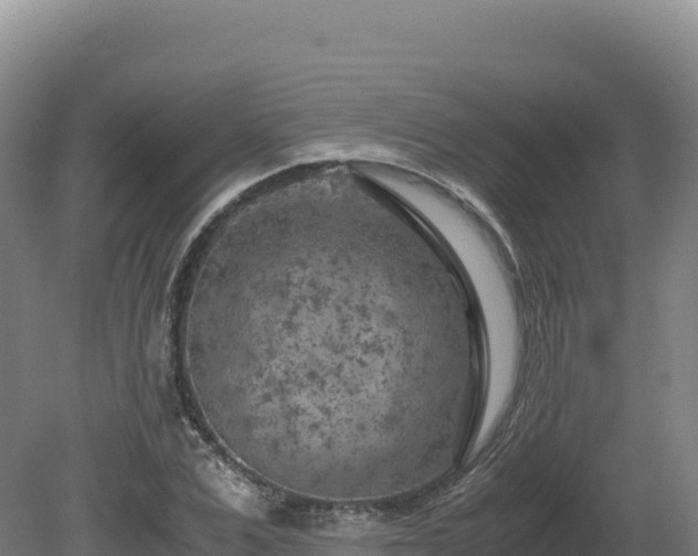 X0000081450975200701191709