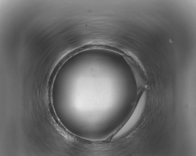 X0000081450976200701191709